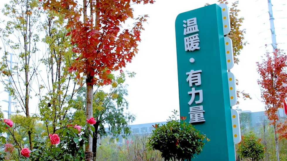 秦学教育 —— 科技赋能,打造智慧学习空间