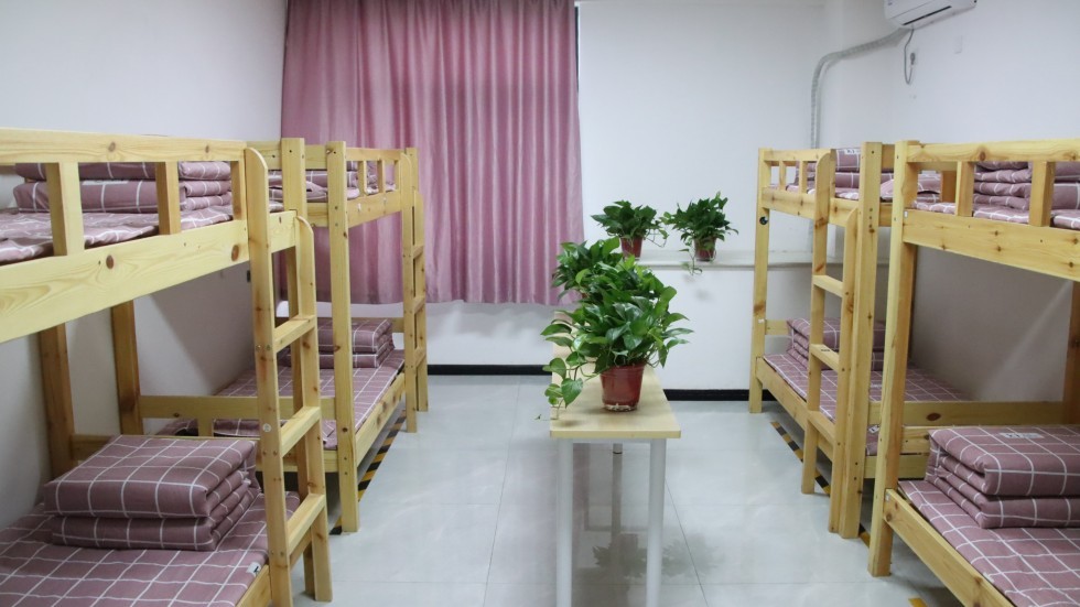 秦学教育——书香浸润,营造浓厚学习氛围
