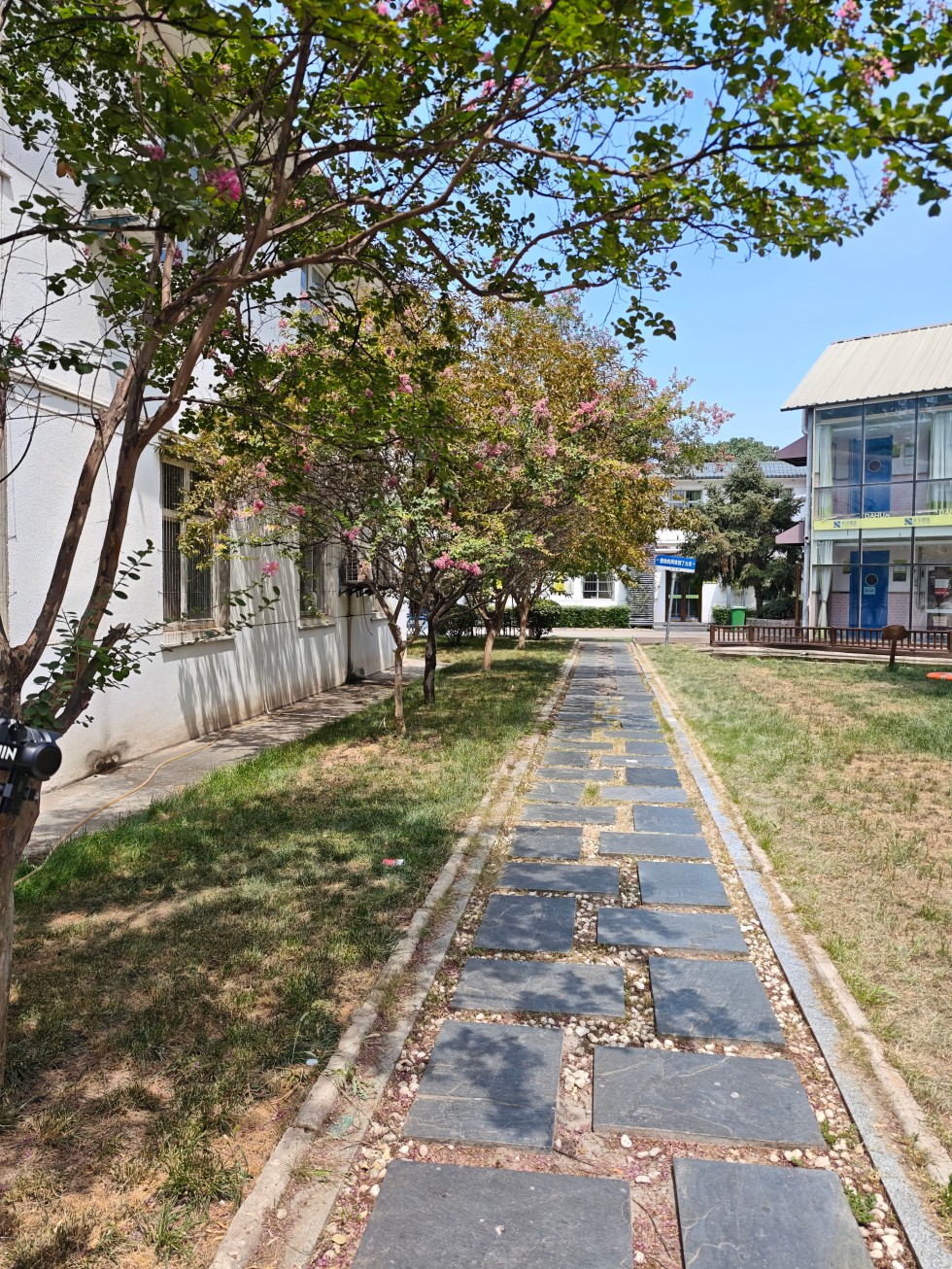 秦学教育——适配多元,打造个性化学习空间