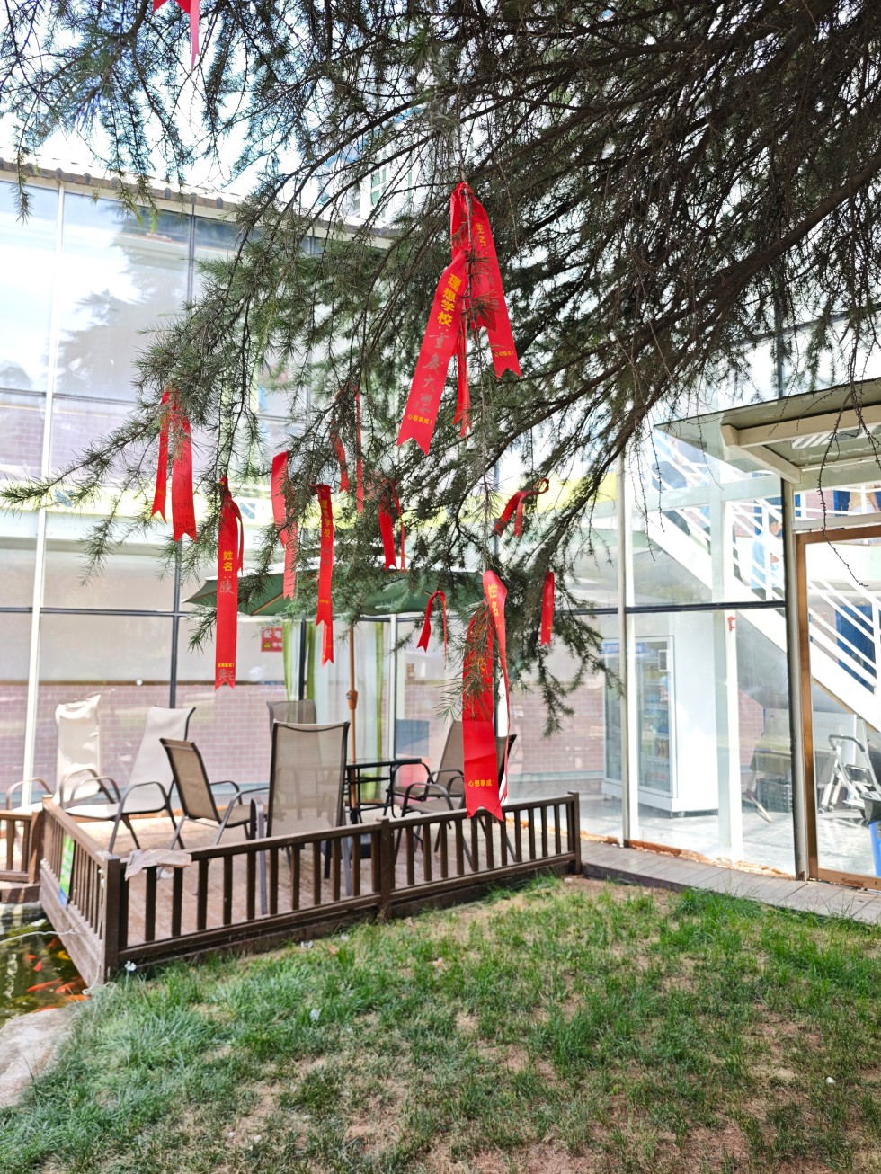 秦学教育——适配多元,打造个性化学习空间