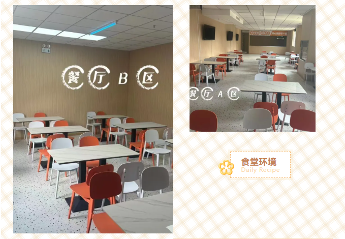 食养匠心,健康护航 —— 石家庄知行教育食堂环境