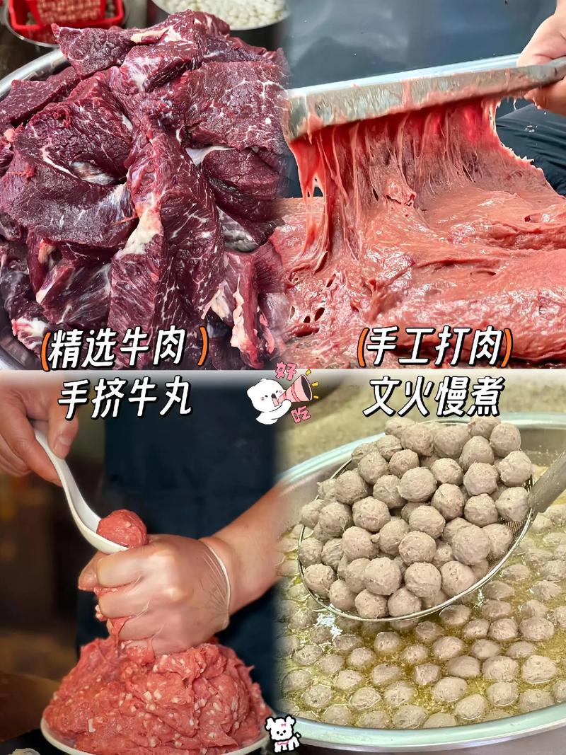 广州厨煌潮汕肉丸技术培训
