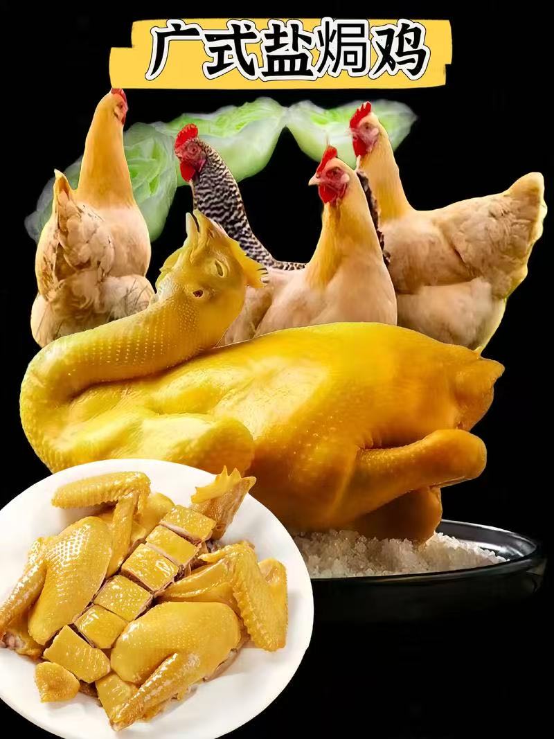 广式烹任中山乳鸽地方特色！