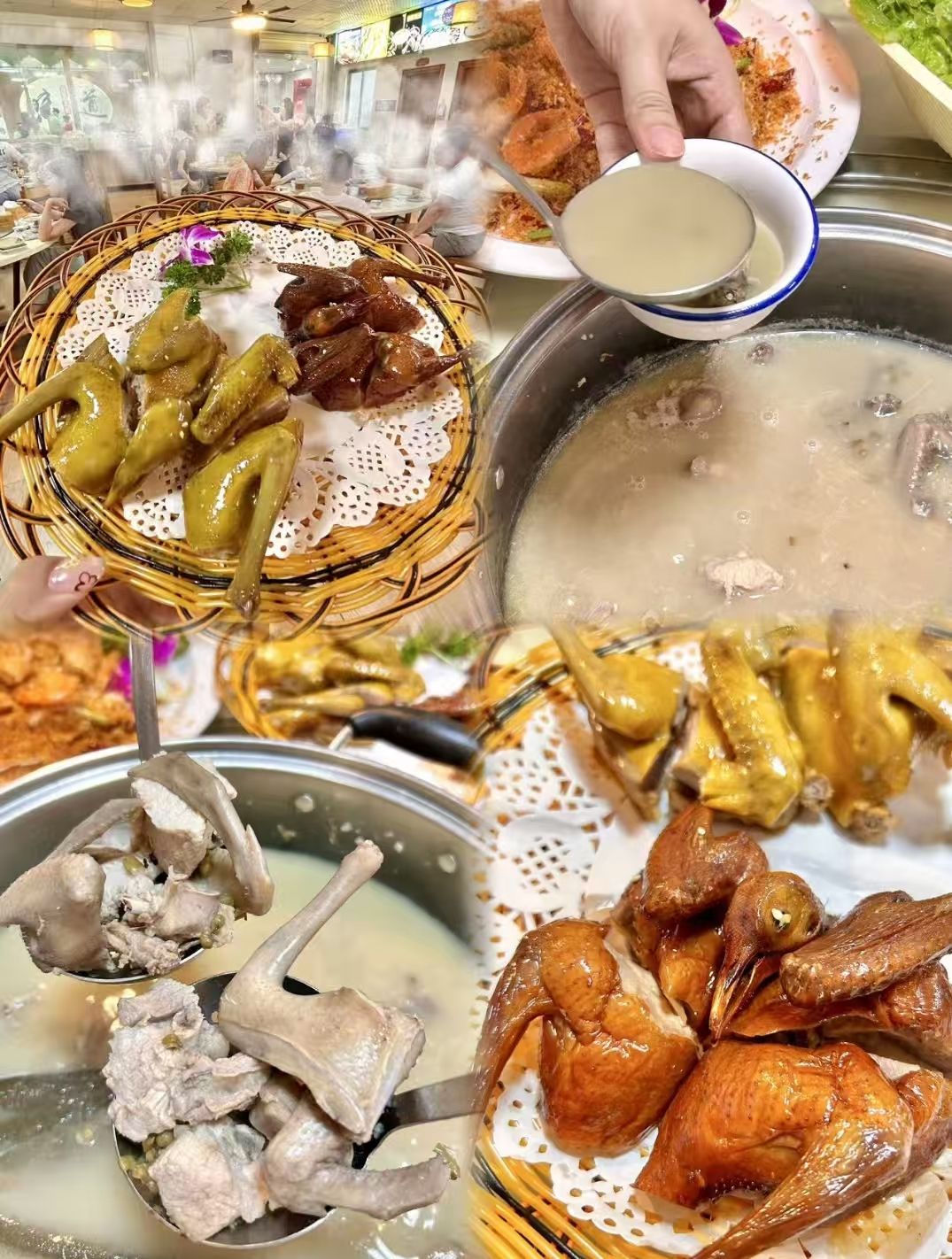 不少人想做全鸽宴生意
