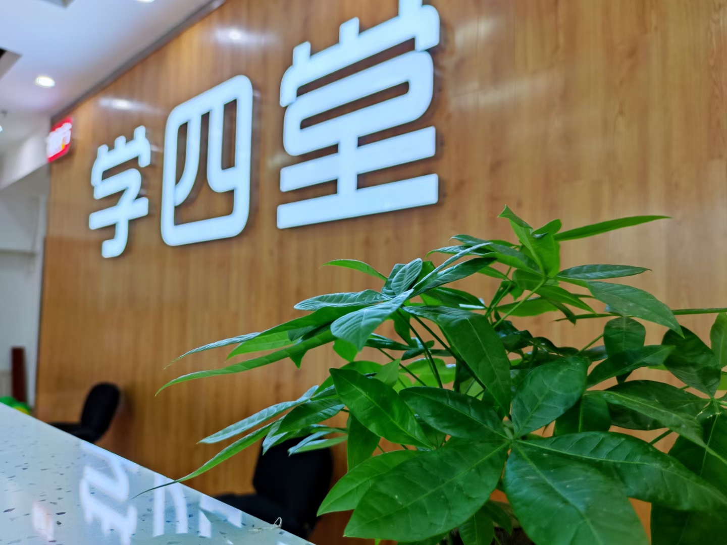 打造沉浸式学习空间——学堡教育校区环境设计理念